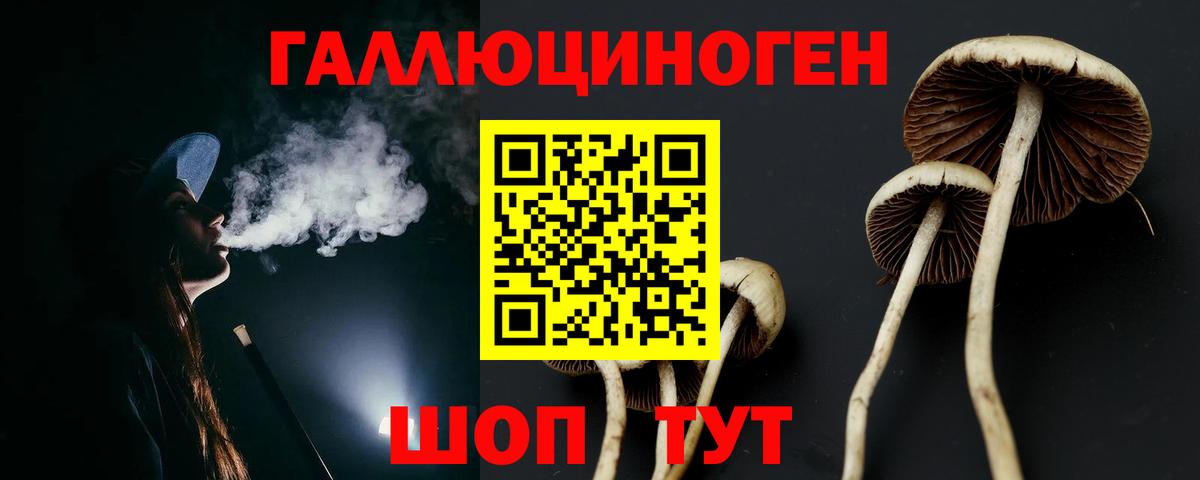 Псилоцибиновые грибы Magic Shrooms  Вход с VPN  где купить   Нижний Тагил 